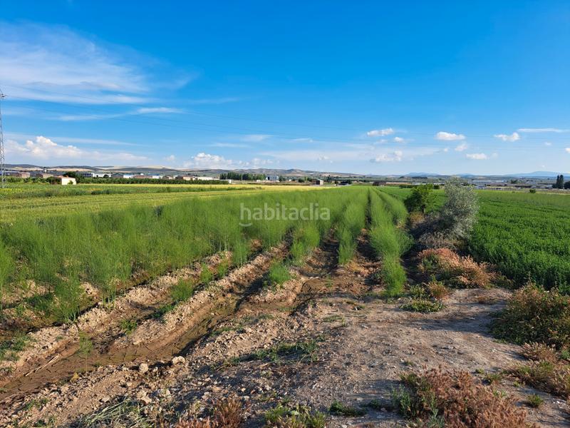 Foto 10fdcc87-0d41-4379-adb7-03aefc603959. Fondo rustico in Chauchina