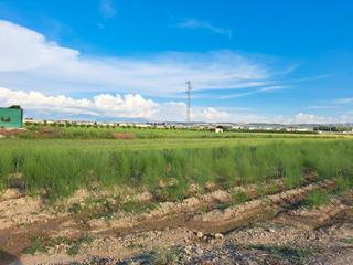 Fondo rustico in Chauchina. Venta de finca rustica en chauchina (granada)