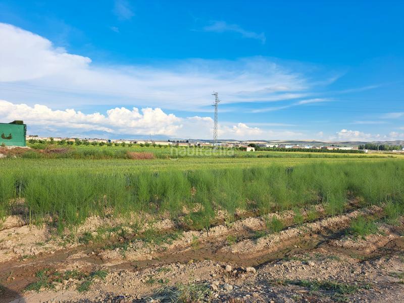 Foto 341e2816-a9e4-46b9-ace6-f8af81542e0d. Fondo rustico in Chauchina