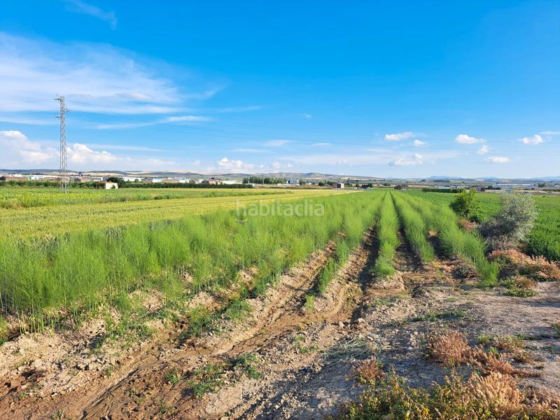 Foto 9a7a42fd-e7cc-4e67-a7dc-4f7535b04d90. Fondo rustico in Chauchina