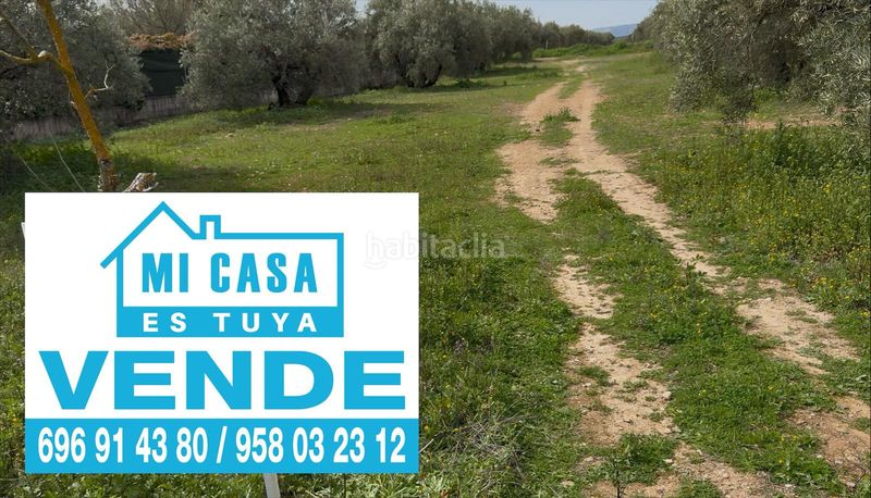 Foto 39f4f568-634c-43fe-a29c-189c2e8f4c34. Terreny residencial a Atarfe