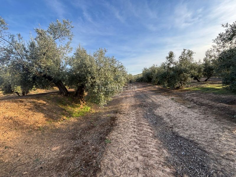 Foto 073dddb4-d156-4c1d-ba3e-0335bf8f2434. Finca rústica a Cijuela