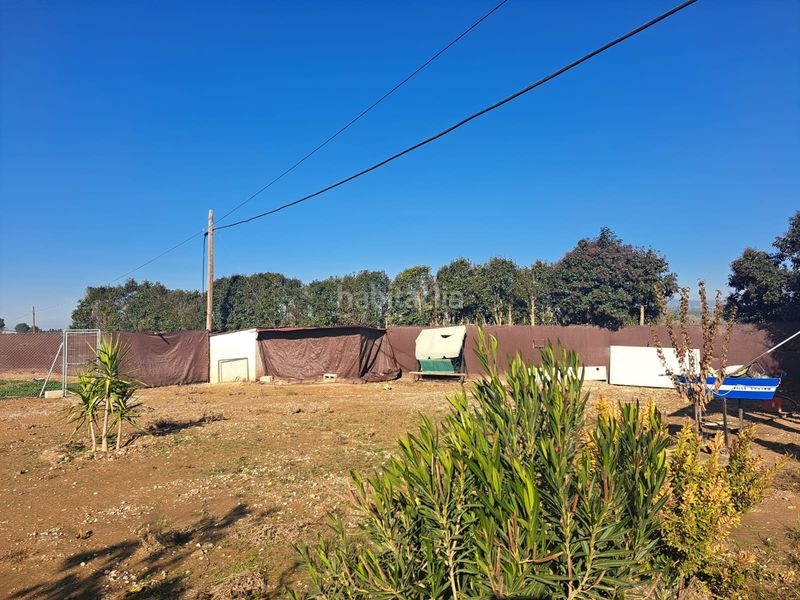 Foto 7ac811b2-01f1-40b7-9b09-0a6a799b5495. Finca rústica cortijo a la venta en lachar (granada) en Láchar