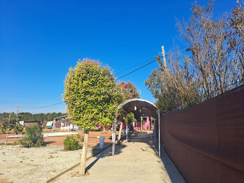 Foto b87bcf7e-2759-4059-ba86-676e70d314a2. Finca rústica cortijo a la venta en lachar (granada) en Láchar