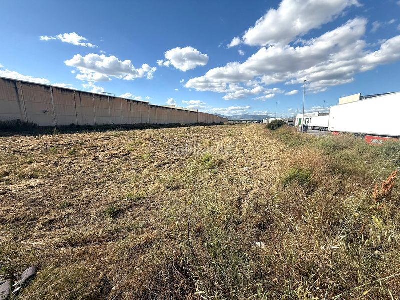 Foto 6503776f-ea64-4545-bf0f-0d11871d6915. Lloguer solar industrial a Chauchina
