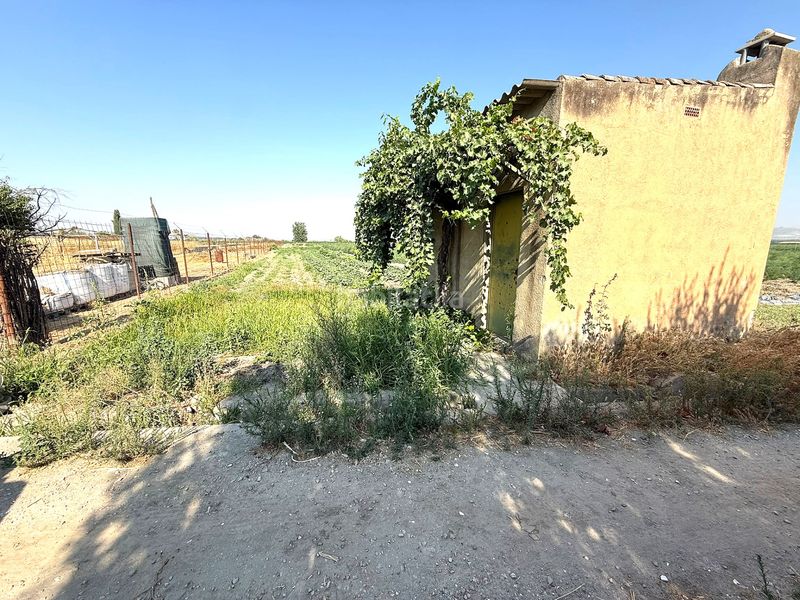 Foto 093ddbb0-2991-4a0e-88f3-4431c69093b5. Finca rústica a Fuente Vaqueros