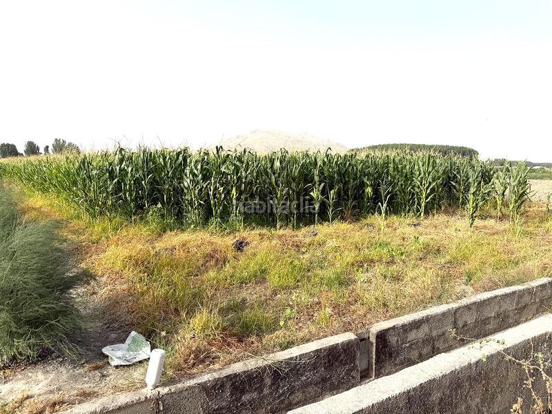 Foto 871b6506-d031-4f61-a98b-e500ff7e7d70. Finca rústica a Chauchina
