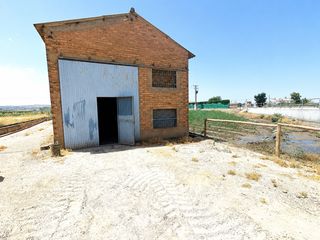 Fondo rustico in Chauchina