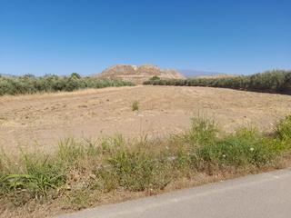 Finca rústica  Poligono ua-11. Finca a la venta cerca de romilla la nueva