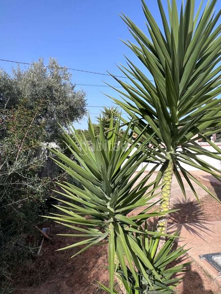 Foto fa7411e5-2116-4a53-beb5-e7d3bd370291. Chalet with heating parking in El Balcó-Jaume I Oropesa del Mar