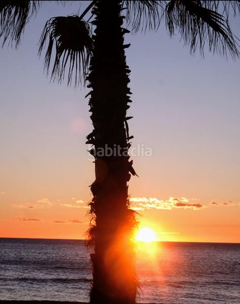 Foto 16405a6d-2b2f-4c81-a510-97ca985997b1. Apartament amb calefacció aparcament piscina a Sol Park Oropesa del Mar