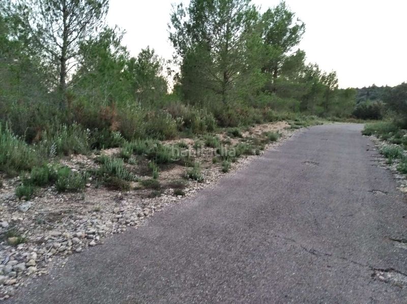 Foto ad9c9e0c-2033-423e-80b7-4eb6683f76d3. Terreny residencial a Coves de Vinromà (les)