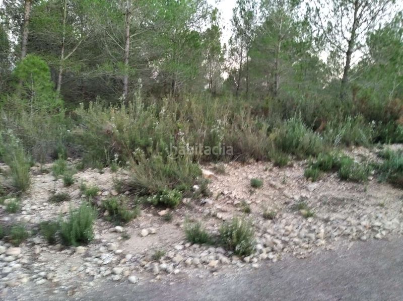 Foto b7fc6e3f-15e4-4aa7-a49a-97f949552556. Terreny residencial a Coves de Vinromà (les)