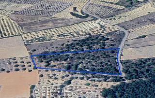 Terreny residencial a Coves de Vinromà (les)