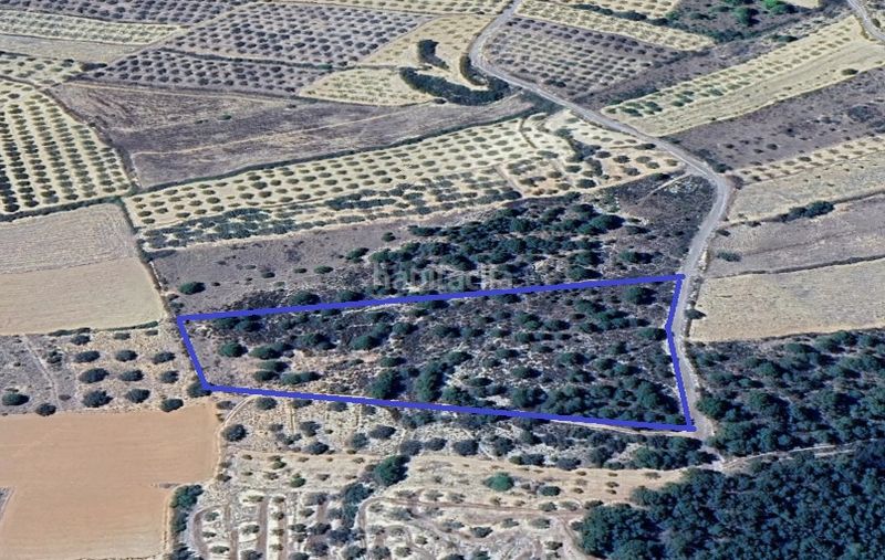 Foto fa0109e8-36f3-4dee-b605-218e3b07e396. Terreny residencial a Coves de Vinromà (les)