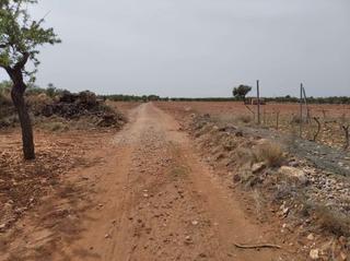 Terreny residencial a Benlloch