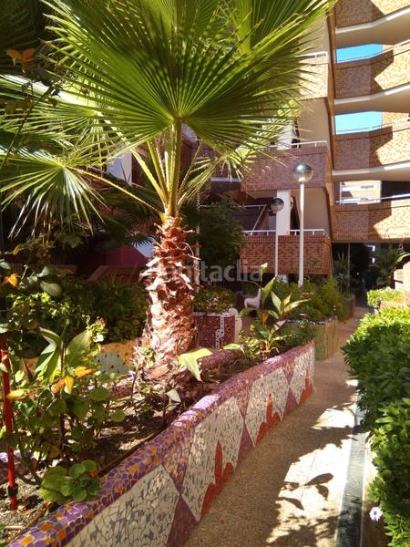 Foto 28468645-03a1-4c35-8e4f-0b70b6a9fc3f. Appartement avec chauffage parking piscine dans Costa Marfil Oropesa del Mar