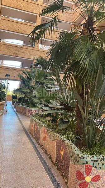 Foto 21db5453-4d1f-4b2d-aa64-92540232d2e9. Apartamento en Costa Azahar Oropesa del Mar