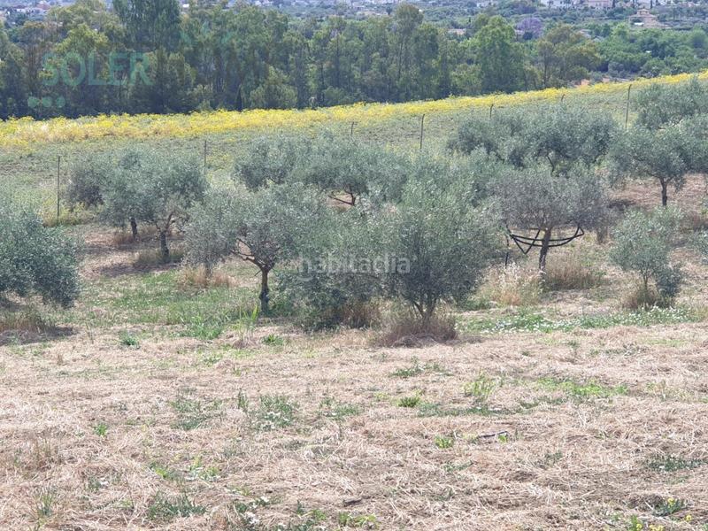 Foto 45af0501-6544-471c-9882-4e0dc69b8950. Masía casa rustica en finca alhaurin el grande coin en Alhaurín el Grande