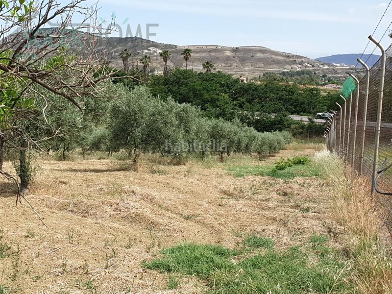 Foto 7dde703c-8c30-4ef7-a2ff-1cf97218fdbe. Masía casa rustica en finca alhaurin el grande coin en Alhaurín el Grande