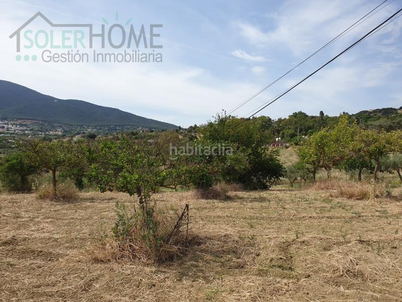 Foto 8266fce2-65f2-434b-a043-14dde804bcf5. Masía casa rustica en finca alhaurin el grande coin en Alhaurín el Grande