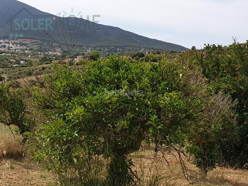Foto ac8894ce-f80c-438e-bcf7-6be6ad4e5f55. Masía casa rustica en finca alhaurin el grande coin en Alhaurín el Grande