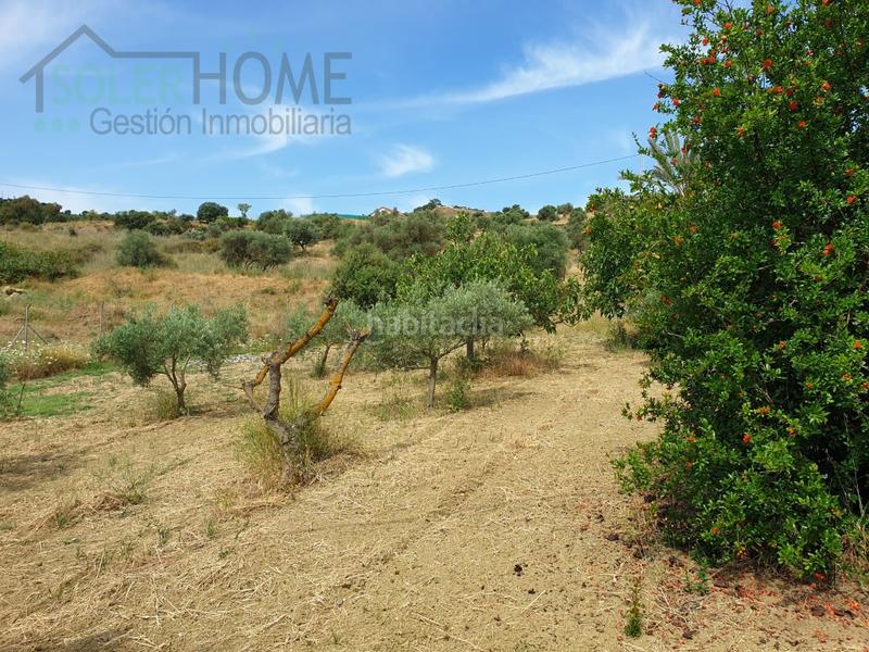 Foto ad3fd5ab-f63f-47d5-a2d8-1324b5e8de68. Masía casa rustica en finca alhaurin el grande coin en Alhaurín el Grande