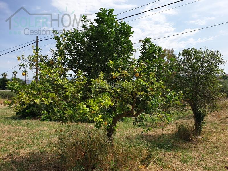 Foto e05f788a-017b-45f2-aed3-df4f4f89e918. Masía casa rustica en finca alhaurin el grande coin en Alhaurín el Grande