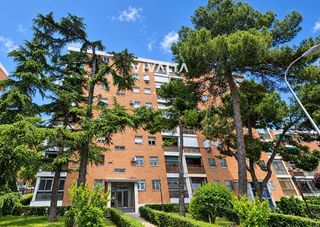 Appartamento  Via lusitana. Piso exterior en 6ª planta con 2 terrazas !