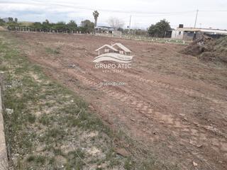 Landgut  Poligono 15 parcela 354. En nules