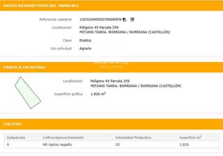 Finca rústica  Poligono  45  parcela 259 .. Rustico en burriana