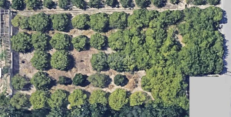 Foto d452ab7c-34a1-448d-8ddf-8dc15bbf1a4c. Residential plot in Puente Tocinos Murcia