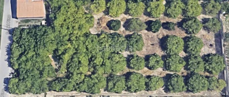 Foto f11483c4-e826-4996-be2d-3ecbeba9ab9d. Residential plot in Puente Tocinos Murcia