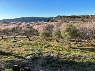 Xalet a Moratalla. Casa cortijo con terreno en bajil moratalla murcia