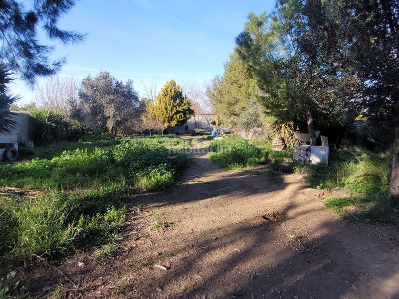 Foto 651ac792-4161-4dca-abb0-db78d3445c90. Terreny residencial a Rincón de Beniscornia Murcia