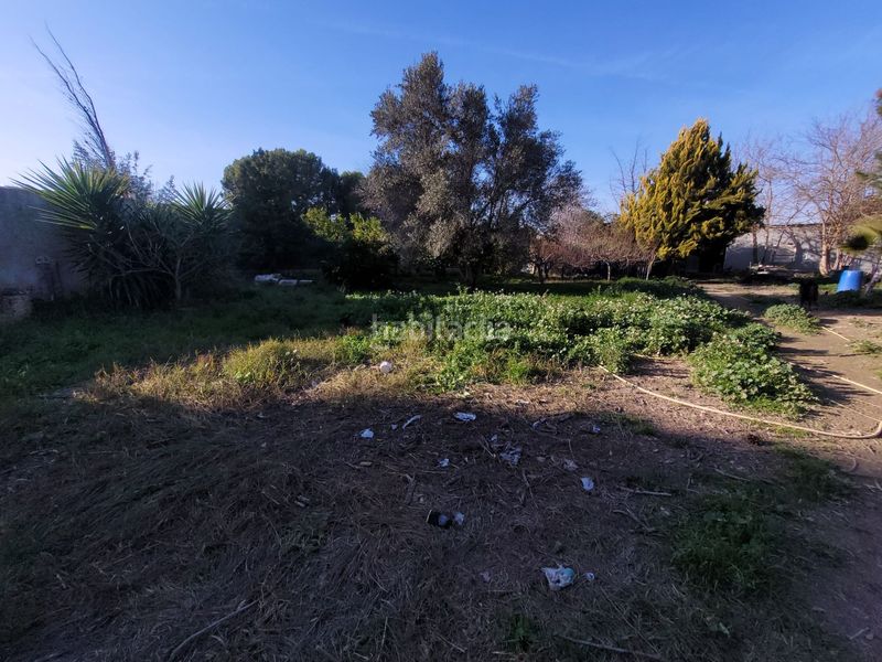 Foto b8b2587b-5a67-42ca-b625-1ea4ee6fcafd. Terreny residencial a Rincón de Beniscornia Murcia