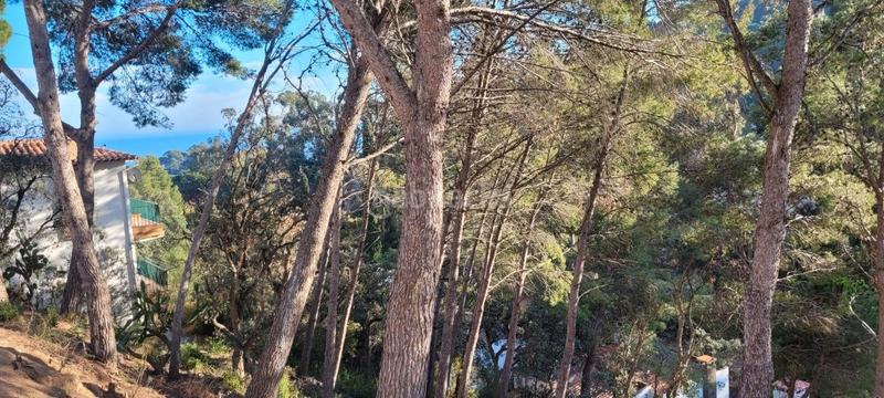 Foto 6bcbaee8-f25a-4c02-8600-81e400162795. Terreno residencial gran oportunitat!! en Rosamar Santa Cristina d´Aro