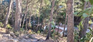 Terreno residenziale in Rosamar. Gran oportunitat!!