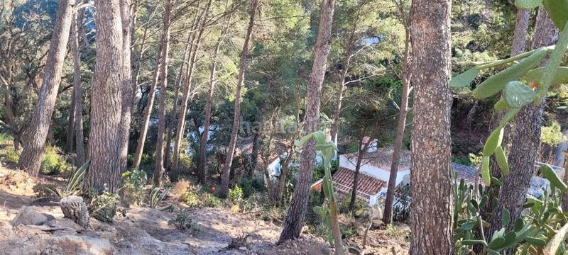 Foto aa076a2e-db84-45de-a362-41701f674533. Terreno residencial gran oportunitat!! en Rosamar Santa Cristina d´Aro