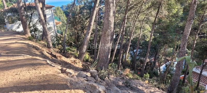 Foto b9c2f23c-a8a3-4795-8ddf-1e7b50e2b576. Terreno residencial gran oportunitat!! en Rosamar Santa Cristina d´Aro