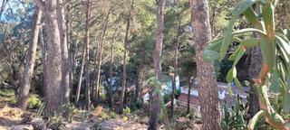 Wohngrundstück in Rosamar. Gran oportunitat!!