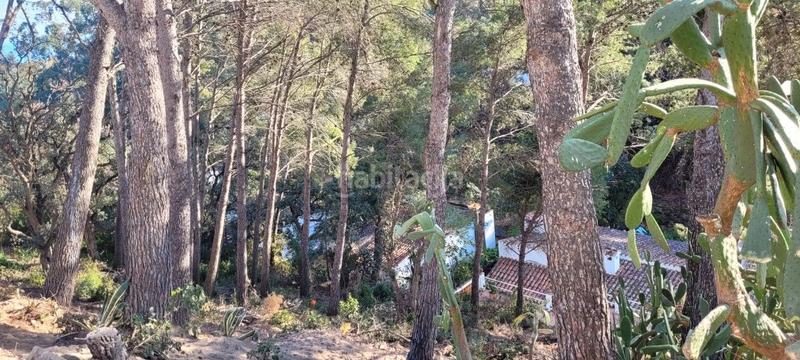 Foto ecd5ec58-6500-47af-87e3-22e6f035ffb8. Terreno residencial gran oportunitat!! en Rosamar Santa Cristina d´Aro