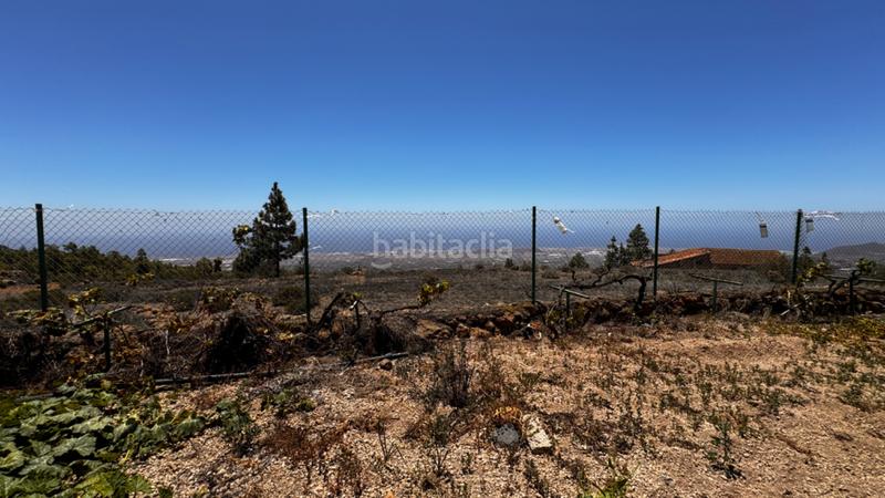 Foto d3ed6ef5-8d02-4800-bbac-b59a9ee39e86. Masia amb xemeneia calefacció aparcament a Los Blanquitos Granadilla de Abona