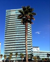 Alquiler Piso en Diagonal Mar i el Front Marítim del Poblenou. Primera linea del mar , terraza