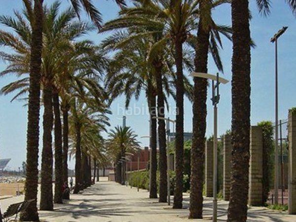 Foto 44709f0f-7172-4557-bf61-60ed4a93350b. Edificio renta alta de 10% anuales ! en Calella