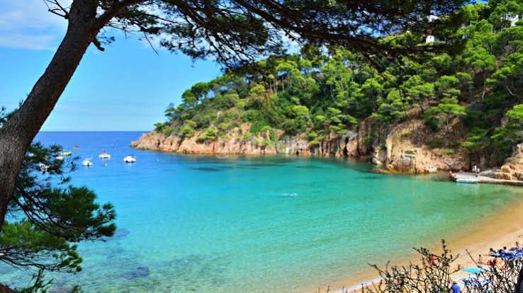 Foto 90bd4329-7817-4745-8b1e-584df35da2d6. Terreny residencial a Begur Begur