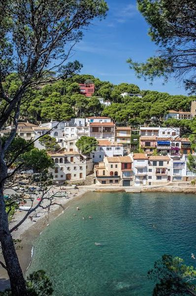 Foto a94ecd50-9c03-4f6d-a079-b9d3c6cd08fd. Terreny residencial a Begur Begur