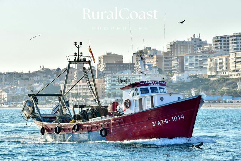 Foto fef2f675-65d0-49b9-be2d-ebeaf6e3eafa. Xalet amb calefacció aparcament piscina a Campello Pueblo Campello (el)