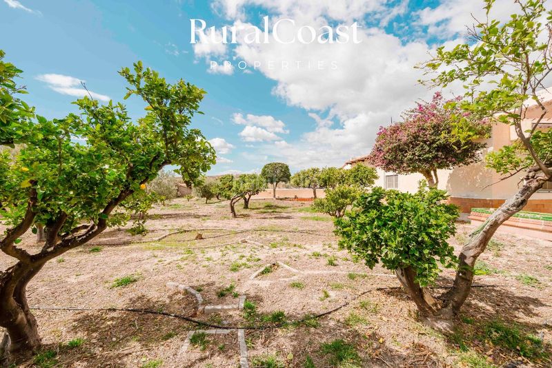 Foto df22bdae-4a44-4211-a629-ba50bcffbccc. Xalet amb calefacció aparcament piscina a Valle del Sol Mutxamel