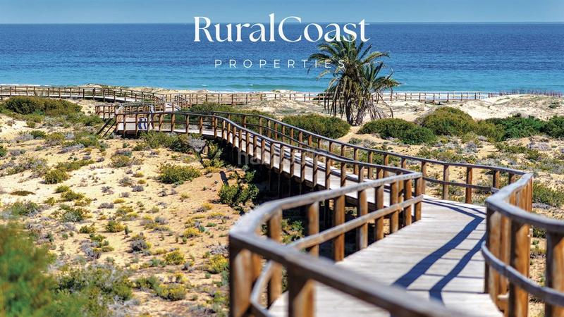 Foto cf6fdb54-c0fd-4809-aeed-ea56e2a5c8cd. Flat with pool in Monforte del Cid